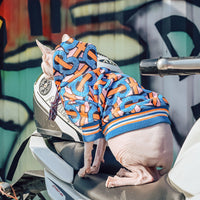 HKM-396883 Cozy Spring and Autumn Sweater for French Bulldogs and Hairless Cats in Blue, Sizes XXS to XXL