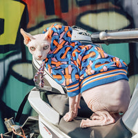 HKM-396883 Cozy Spring and Autumn Sweater for French Bulldogs and Hairless Cats in Blue, Sizes XXS to XXL