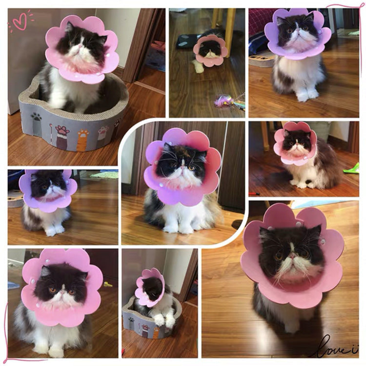 HKM-397139 Cat Anti-Lick Shame Circle - Sunflower Design in Yellow & Pink, EVA Sponge Paper, Sizes S, M, L