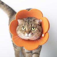 HKM-397139 Cat Anti-Lick Shame Circle - Sunflower Design in Yellow & Pink, EVA Sponge Paper, Sizes S, M, L