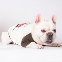 HKM-398035 Leisure Cotton Khaki Pet Sweater for Dogs in Multiple Sizes