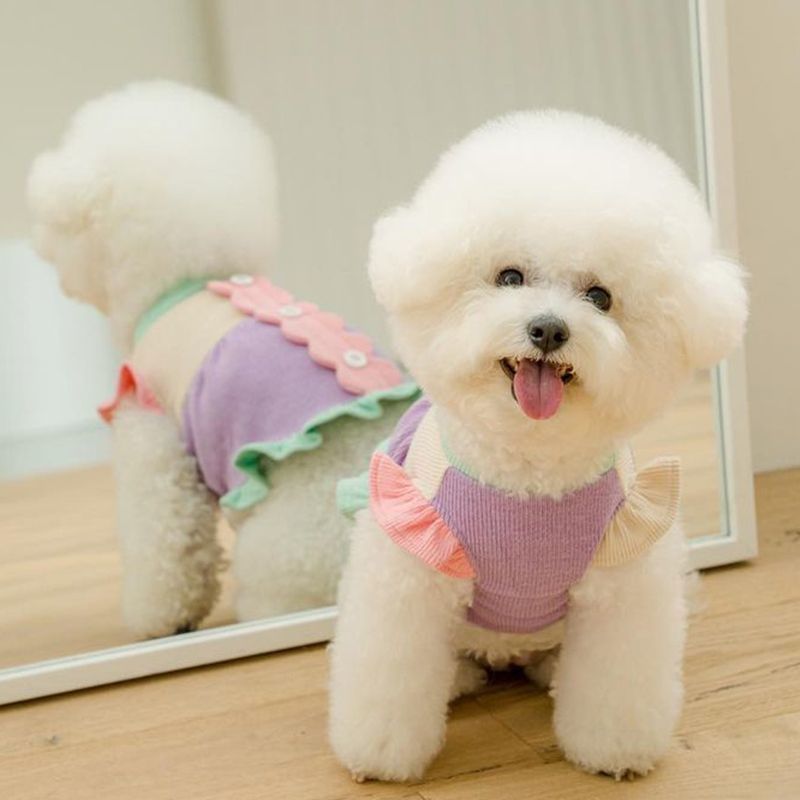 HKM-398227 Cozy Coral Fleece Winter Clothes for Small Dogs in Multiple Styles and Sizes