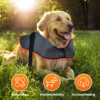 HKM-398291 Pet Infrared Physiotherapy Device for Dogs and Cats - Wireless, Portable, and Effective for Injury and Fracture Healing