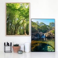 HKM-398547 Hand-Painted Summer Forest Landscape Oil Painting on Canvas, Multiple Sizes Available