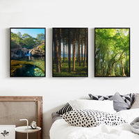 HKM-398547 Hand-Painted Summer Forest Landscape Oil Painting on Canvas, Multiple Sizes Available