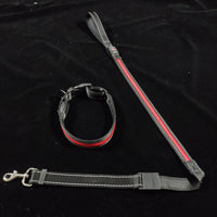 HKM-399571 USB Charging Telescopic Portable Pet Collar with Adjustable Sling - Multi-Color Options Available