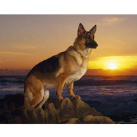 HKM-399763 Full Diamond Sunset Dog DIY Diamond Painting Kit – 25x30cm Round & Square Options