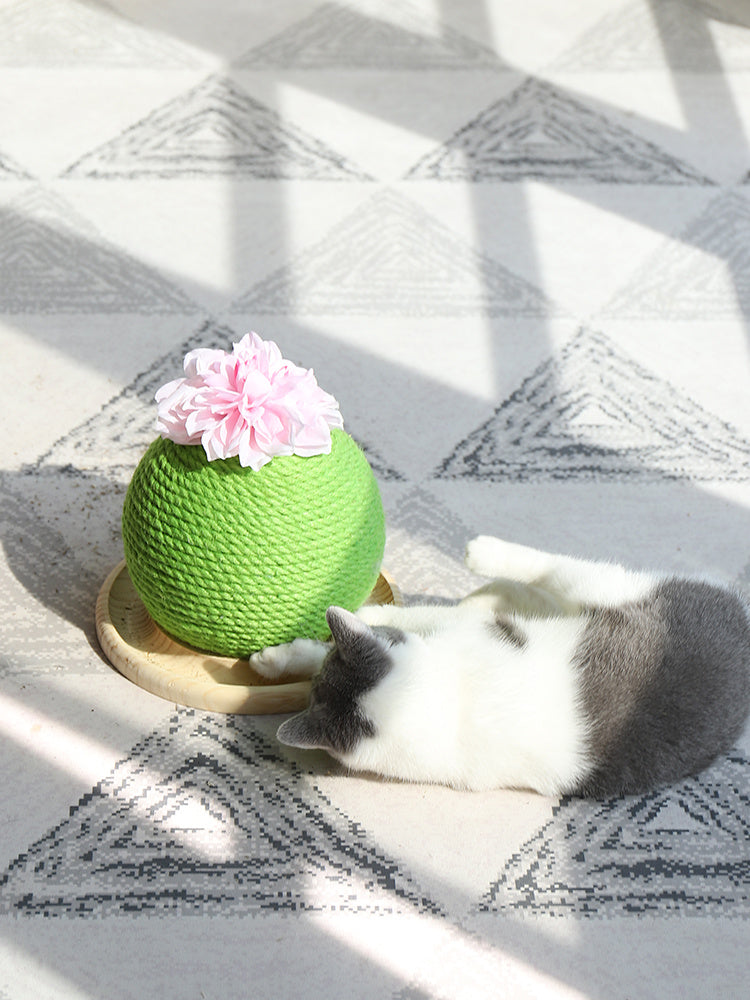 HKM-400531 Cat grinding paw toy