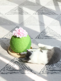 HKM-400531 Cat grinding paw toy