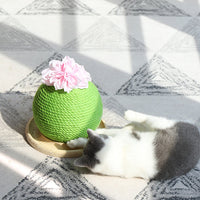 HKM-400531 Cat grinding paw toy