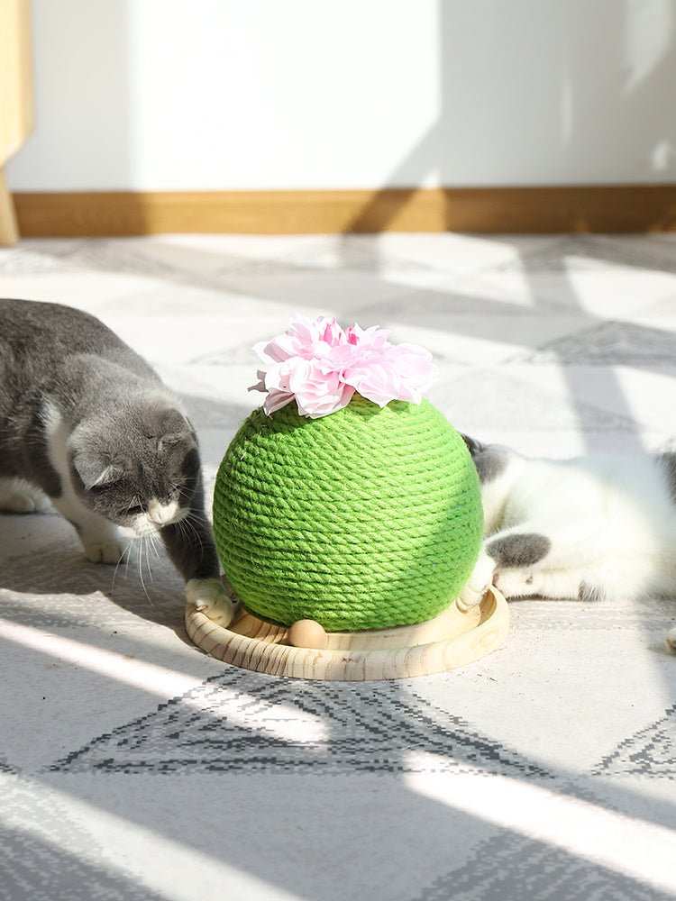 HKM-400531 Cat grinding paw toy
