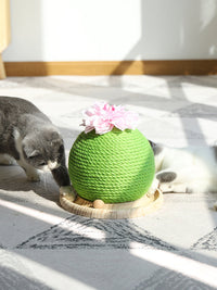 HKM-400531 Cat grinding paw toy