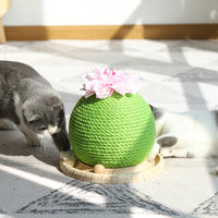 HKM-400531 Cat grinding paw toy