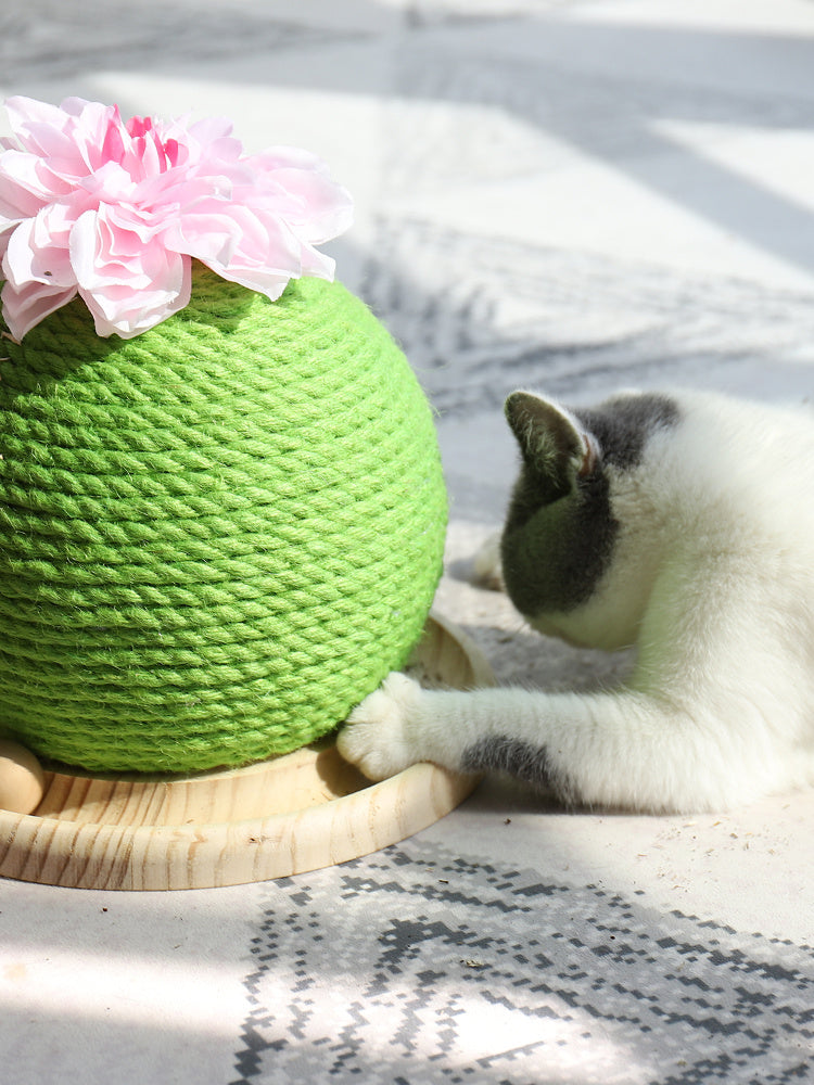 HKM-400531 Cat grinding paw toy
