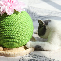 HKM-400531 Cat grinding paw toy