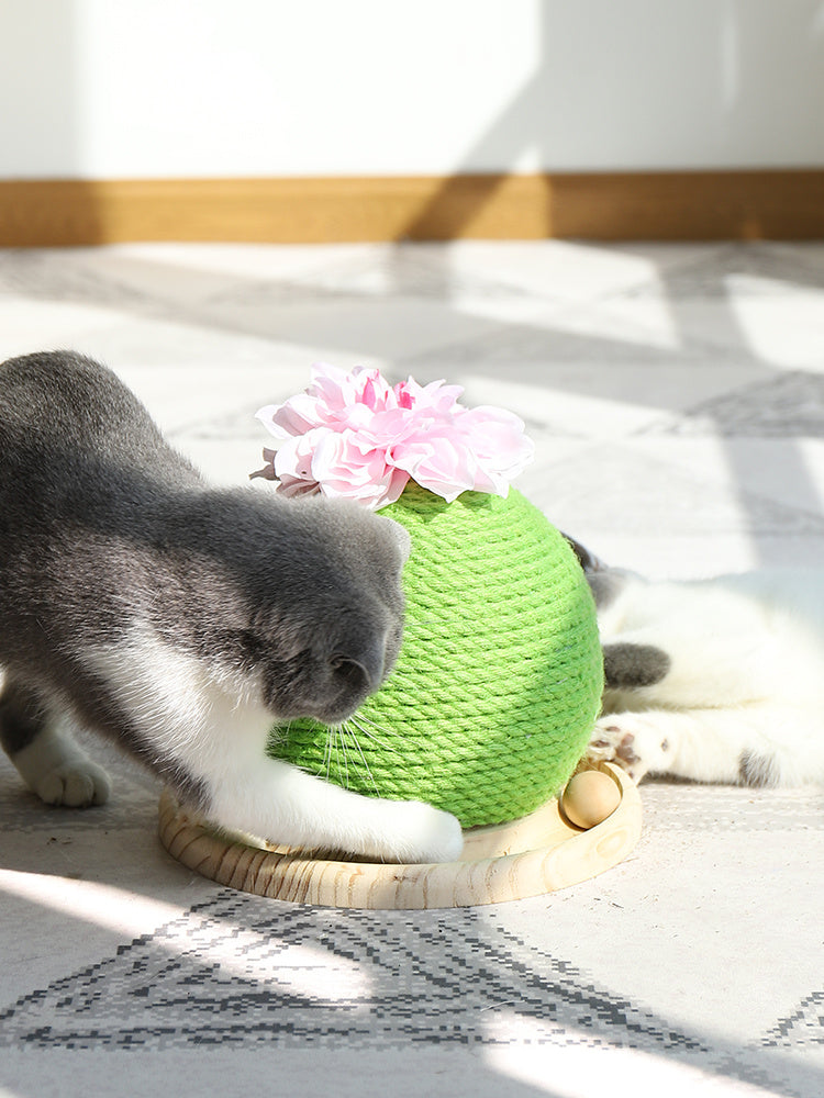 HKM-400531 Cat grinding paw toy