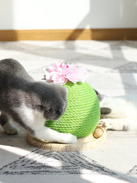 HKM-400531 Cat grinding paw toy