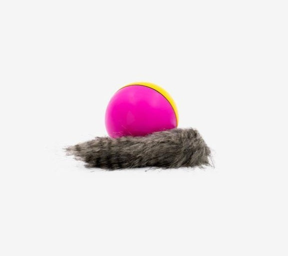 HKM-401683 Electric Beaver Ball Water Cat Bath Play Water Toys