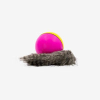 HKM-401683 Electric Beaver Ball Water Cat Bath Play Water Toys