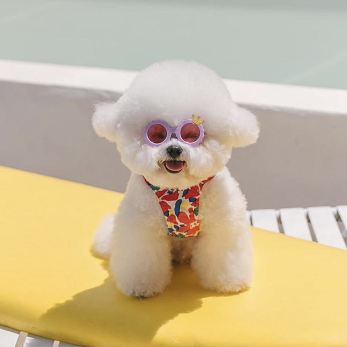 HKM-402067 Cute Round Frame Sunglasses for Dogs and Cats in Pink, Yellow, Red, and Cream White