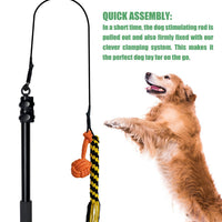 HKM-402515 Telescopic Dog Teasing Rod with Ropes and Ball - 102cm Black Aluminum Alloy Pet Toy