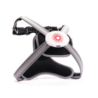 HKM-404563 LED Dog Chest Strap with Retractable Traction Rope - Adjustable, Nylon, RGB Colorful Lighting