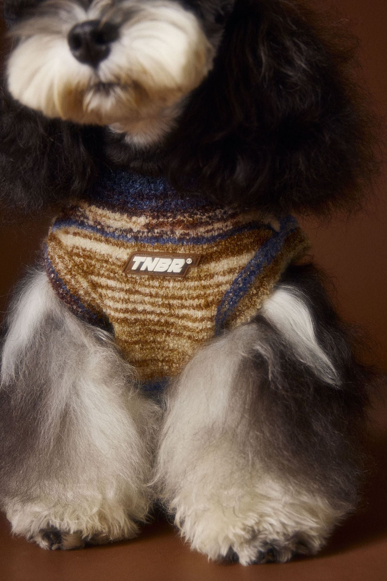 HKM-405011 Rainbow Stripes Sleeveless Sweater Vest for Pets - Blue/Red, Casual Style, Multiple Sizes Available
