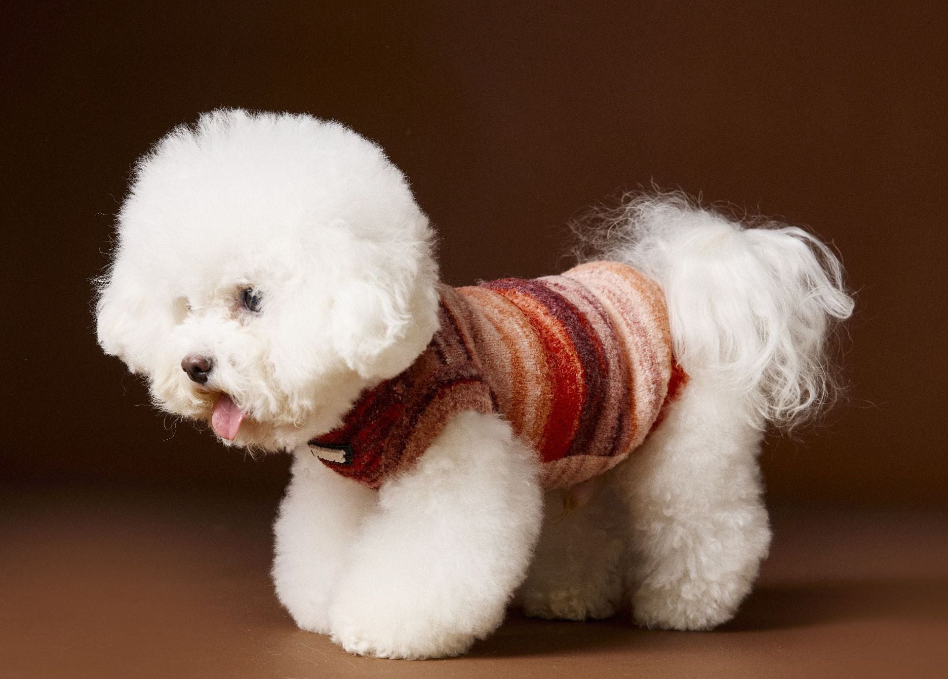 HKM-405011 Rainbow Stripes Sleeveless Sweater Vest for Pets - Blue/Red, Casual Style, Multiple Sizes Available
