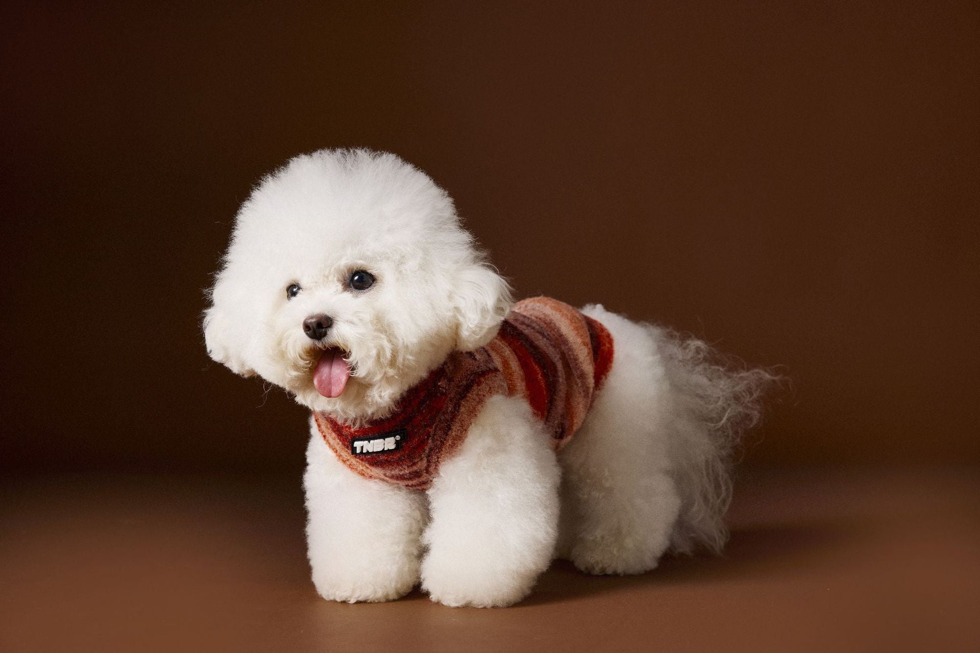 HKM-405011 Rainbow Stripes Sleeveless Sweater Vest for Pets - Blue/Red, Casual Style, Multiple Sizes Available
