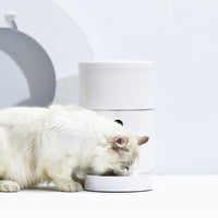 HKM-405139 Pet Dog Cat Food Dispenser Bowl with Camera Wide Angle Automatic Pet Feeder Food Bowl APP Control Pet Accessories