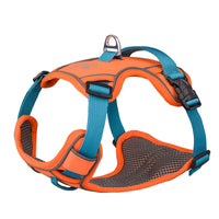 HKM-405715 Large Rainbow Anti-Slip Pet Chest Harness with Traction Rope