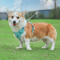HKM-405715 Large Rainbow Anti-Slip Pet Chest Harness with Traction Rope