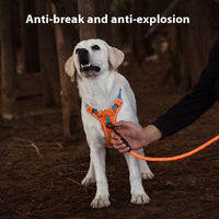 HKM-405715 Large Rainbow Anti-Slip Pet Chest Harness with Traction Rope