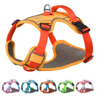 HKM-405715 Large Rainbow Anti-Slip Pet Chest Harness with Traction Rope