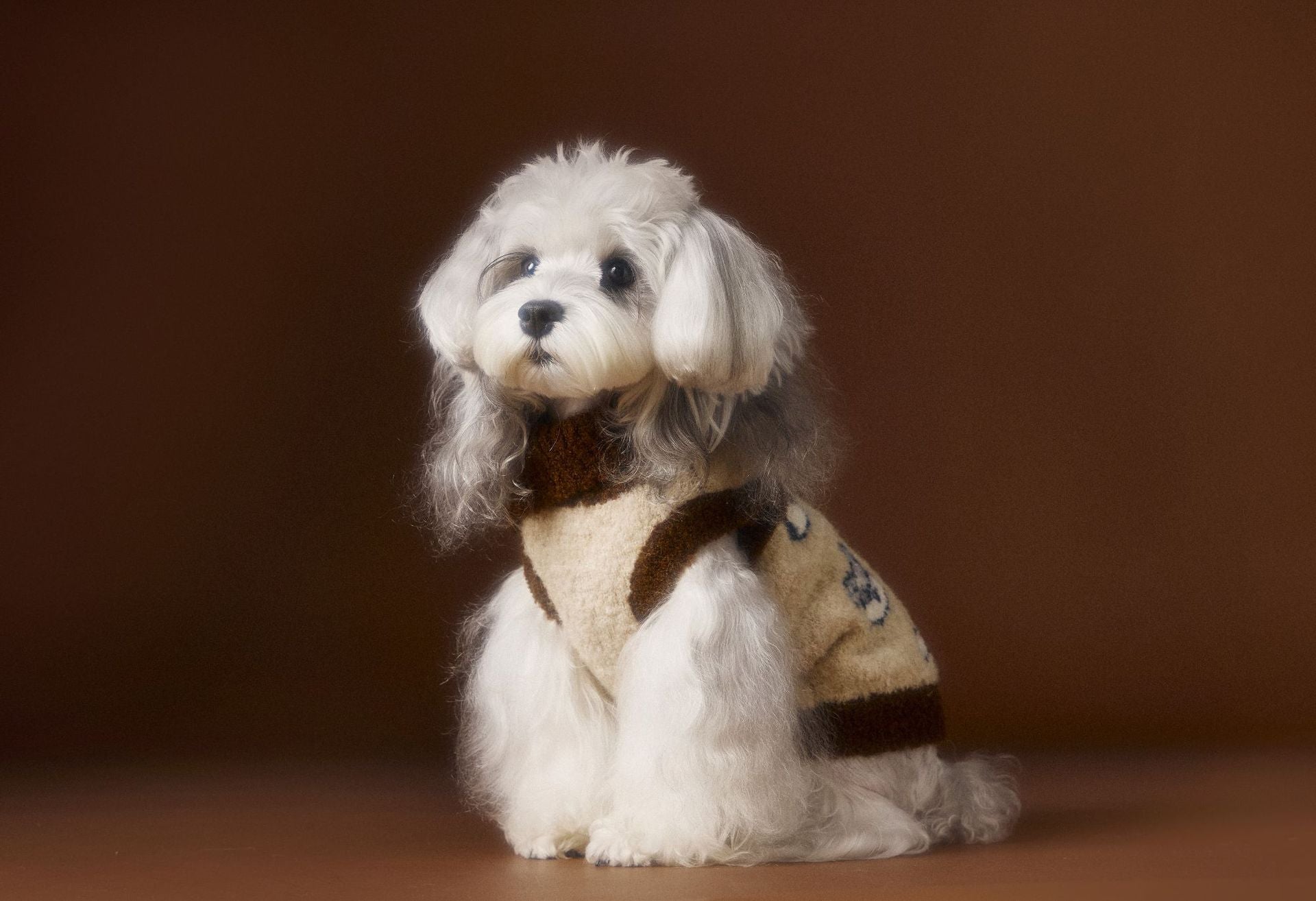 HKM-406163 Lapel Sweater for Dogs - Cozy and Stylish Pet Clothing in Various Sizes