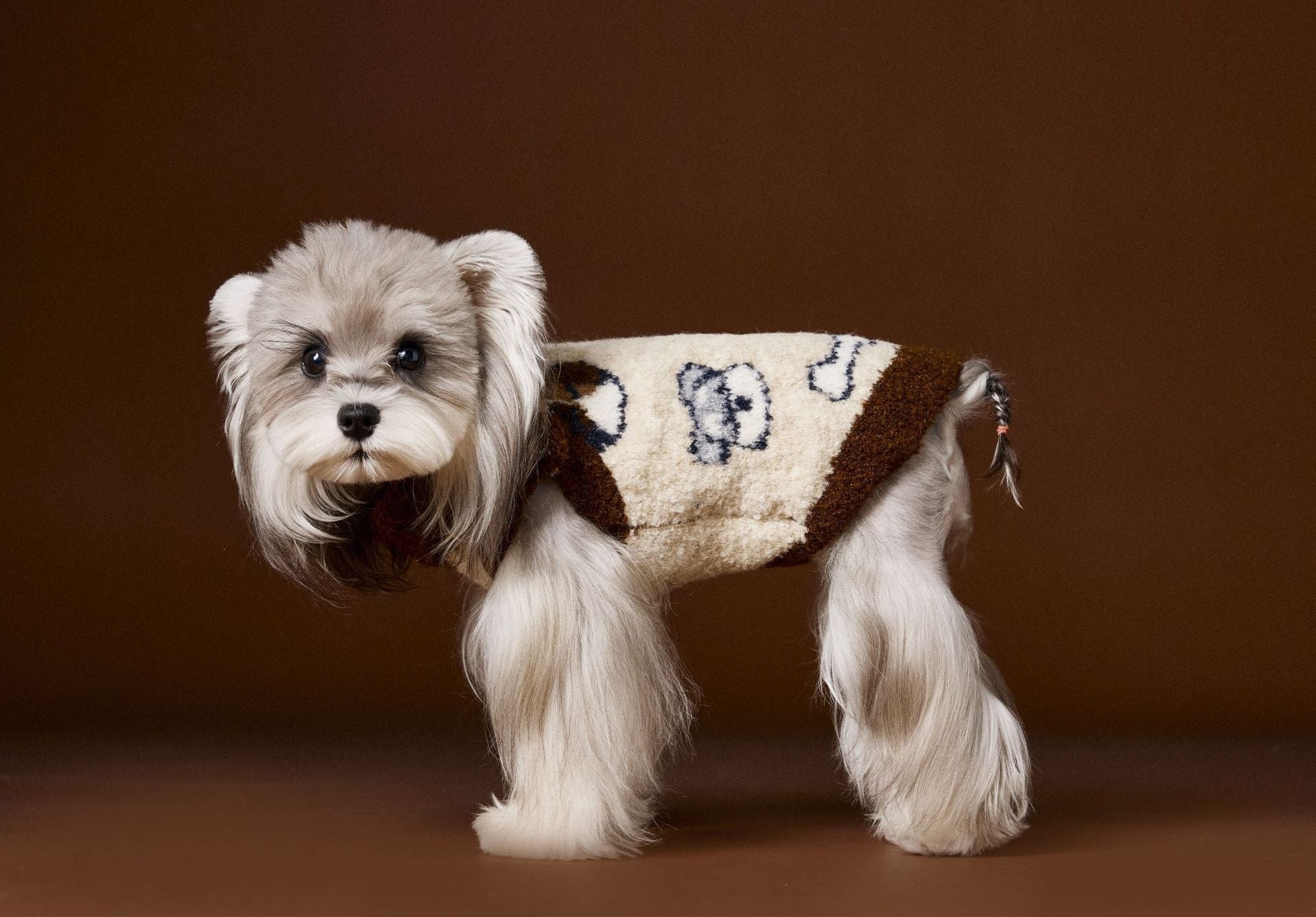 HKM-406163 Lapel Sweater for Dogs - Cozy and Stylish Pet Clothing in Various Sizes