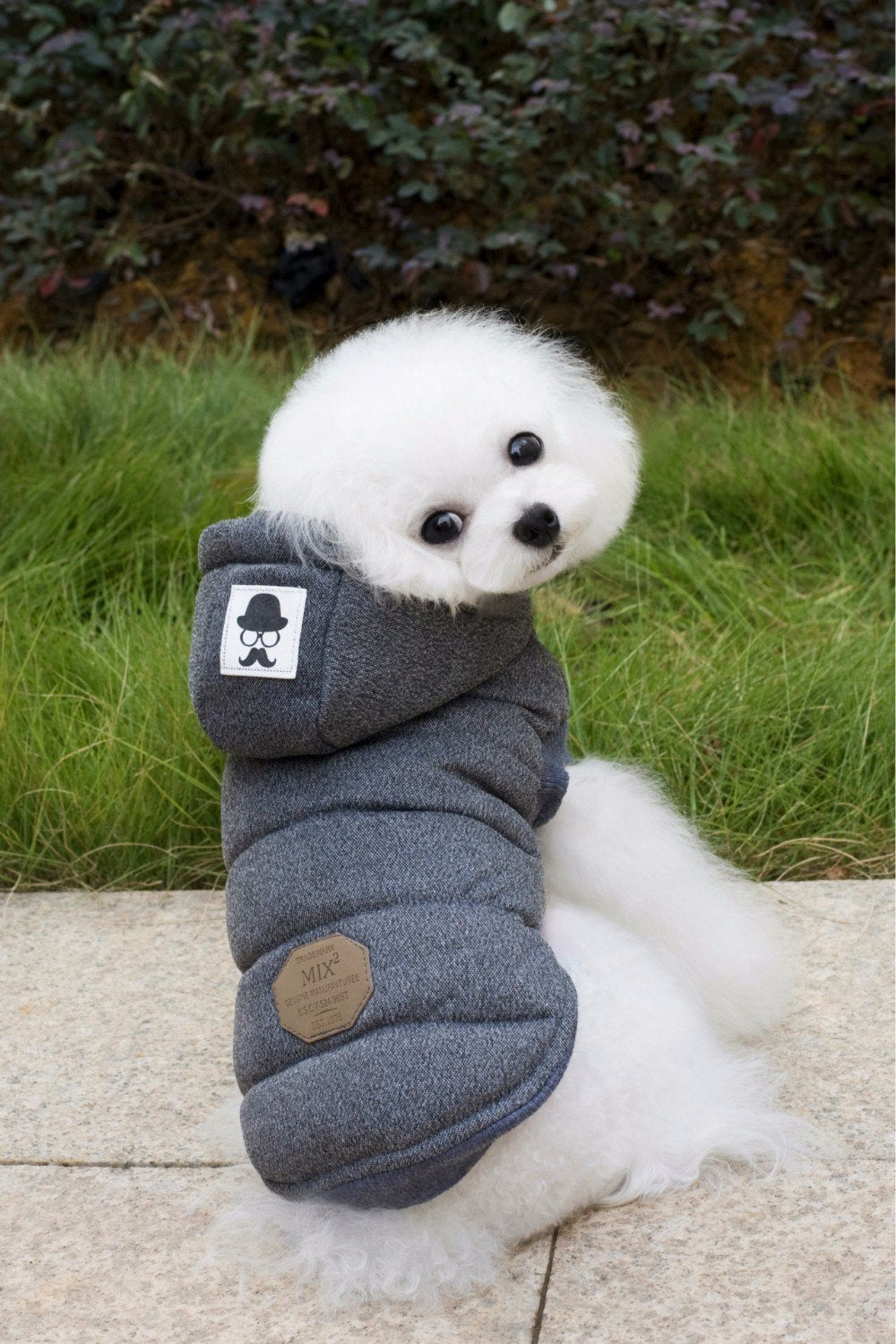 HKM-408467 Two-Legged Mustache Pet Coat for Autumn and Winter, Cotton and Lamb Wool, Gray/Blue, Sizes S-XL