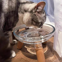 HKM-408851 Stable Glass Pet Bowl for Cats and Dogs - Removable Design for Easy Cleaning