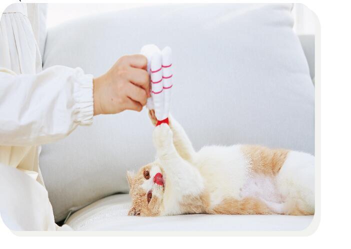 HKM-409427 Sushi Catnip Toy Self-hey Relieves Boredom And Bite-resistant Pet Supplies