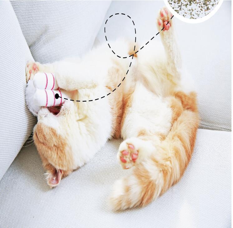 HKM-409427 Sushi Catnip Toy Self-hey Relieves Boredom And Bite-resistant Pet Supplies