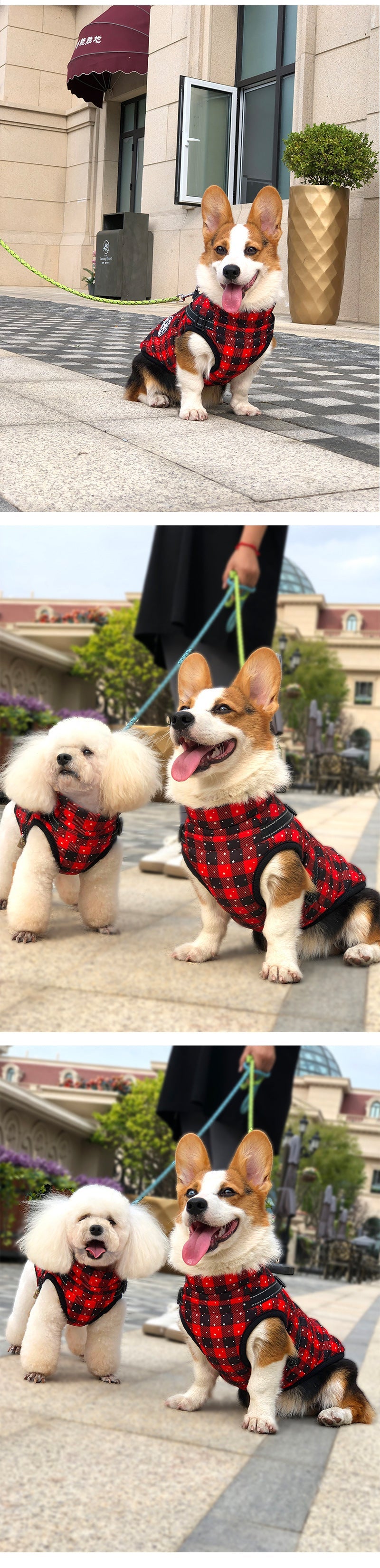 HKM-411603 Warm Waterproof Reflective Dog Coat for Autumn and Winter in Snowflake and Plaid Designs