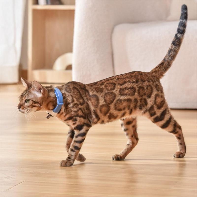HKM-411795 Laser Collar for Cats - Simple Design in Black, Blue, Purple, and Green, Made of Durable ABS Material