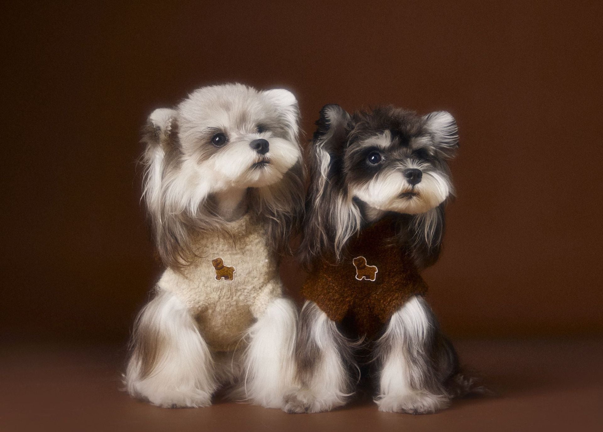 HKM-412435 Cozy Sleeveless Teddy Sweater Vest for Schnauzer and Bichon Puppies - Autumn/Winter Collection