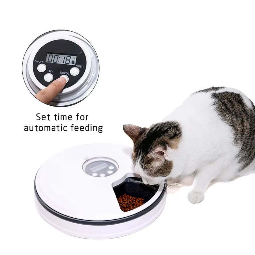 KTX-412883 Automatic Pet Food Dispenser with Smart Timed Control, White, Size 30 cm x 7 cm