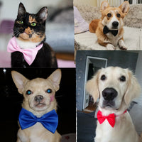 HKM-412947 Cute Multi-Color Bow Tie Pet Lead for Dogs and Cats - Stylish Cloth Accessory