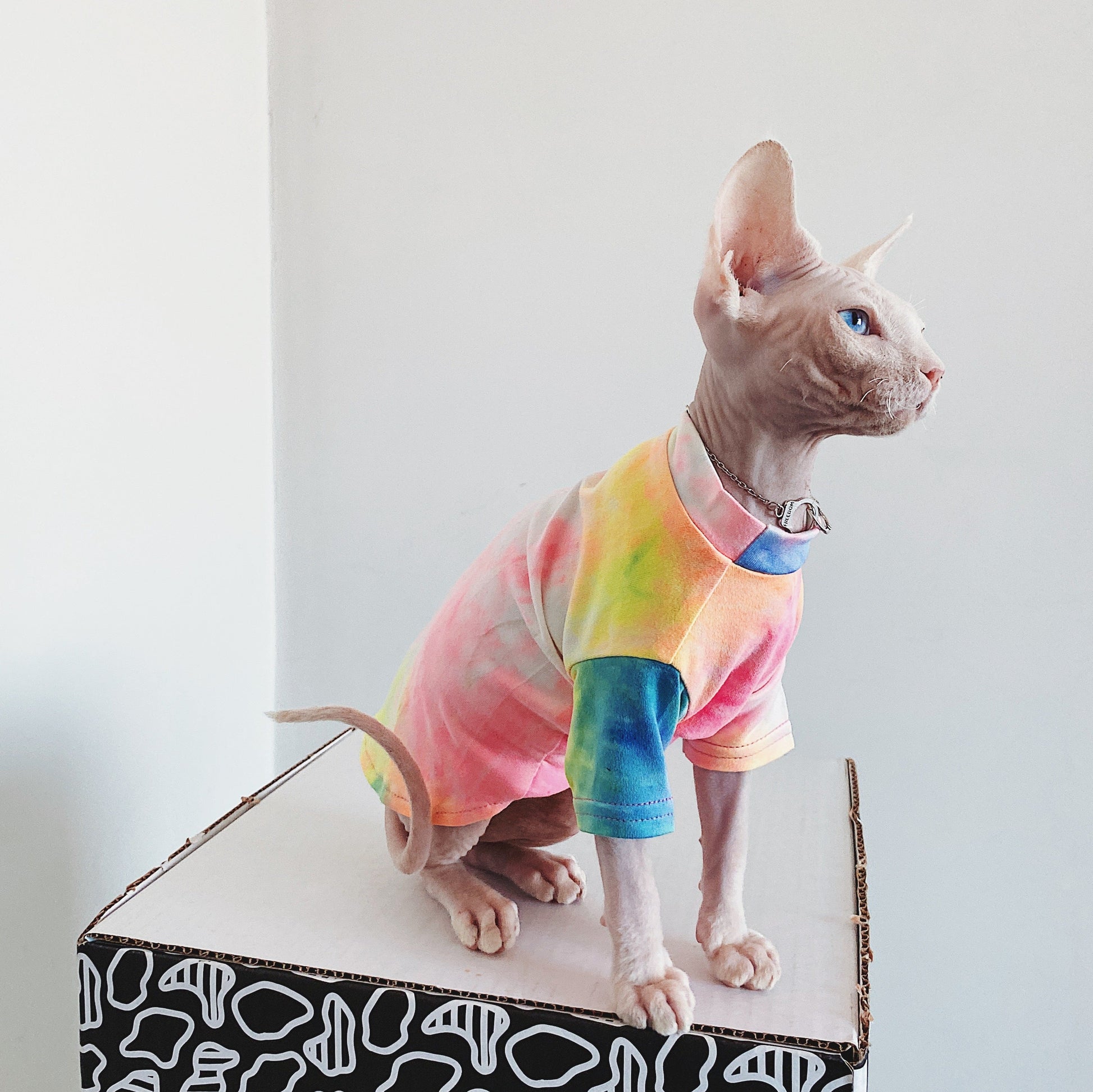 HKM-413011 Tie-Dye Rainbow Vest for Cats - Casual Cotton Pet Apparel