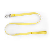 HKM-413267 Nylon Pet Collar and Traction Rope Set in Various Gradient Colors for All Seasons