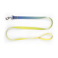 HKM-413267 Nylon Pet Collar and Traction Rope Set in Various Gradient Colors for All Seasons
