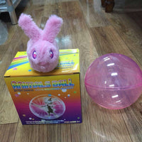 HKM-414035 Plastic Activation Animal Ball Toy
