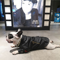 HKM-414035 Stylish PU Leather Motorcycle Clothing for Pets - Sizes XS to 2XL